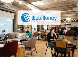 انواع درگاه وب مانی (Webmoney)