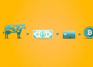 ارتباط فناوری بلاک چین و خدمات مالی