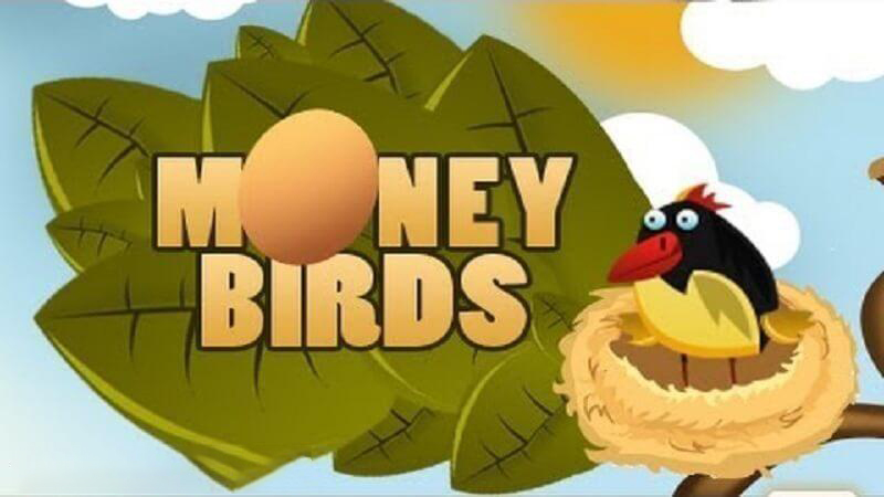 Money birds درآمد
