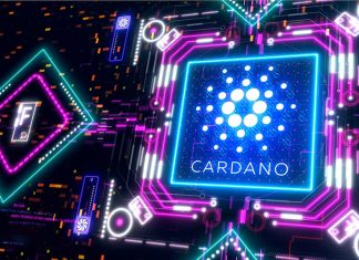 آینده کاردانو Cardano
