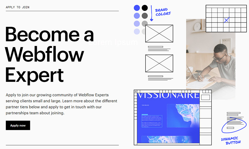 فریلنسر درآمد ارزی از سایت Webflow expert