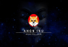ارز دیجیتال آنون اینو (Anon Inu)