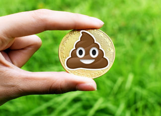شت کوین (Shitcoin)