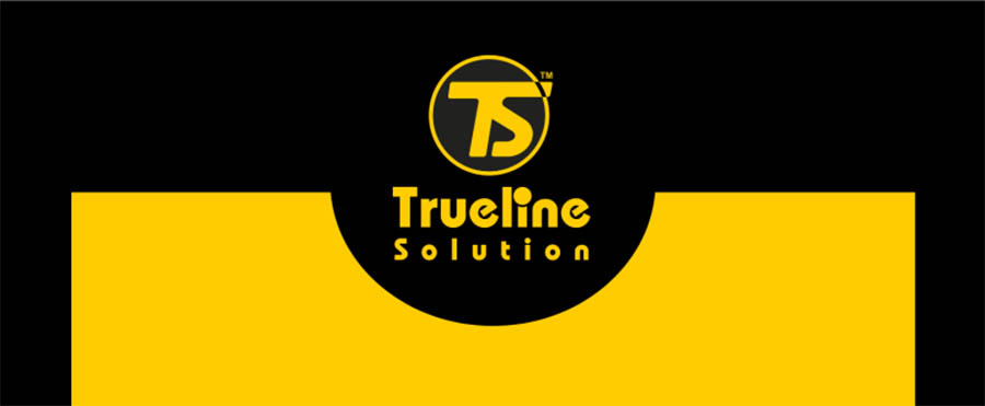 سایت Trueline Solution بهترین ارائه دهنده خدمات ساخت سایت