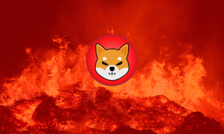 SHIB Burning