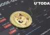 دوج کوین سودآورترین دارایی
