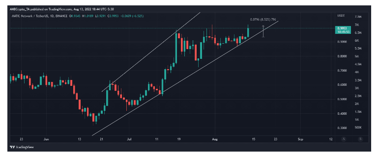 تکنیکال ارز ماتیک 23 مرداد