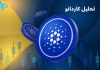 تکنیکال کاردانو 22 دی