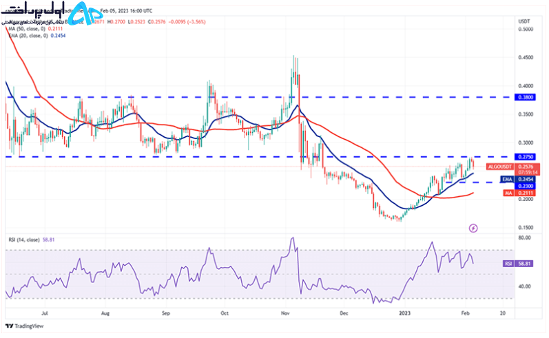 تکنیکال Algorand در 17 بهمن