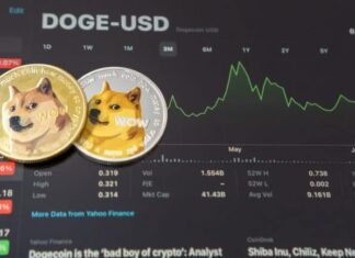 اهداف قیمت دوج کوین در 2023