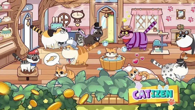 ورود به ایردراپ کتیزن Catizen