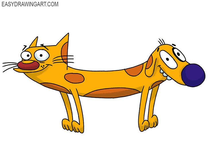 میم کوین کت‌ داگ (CATDOG)