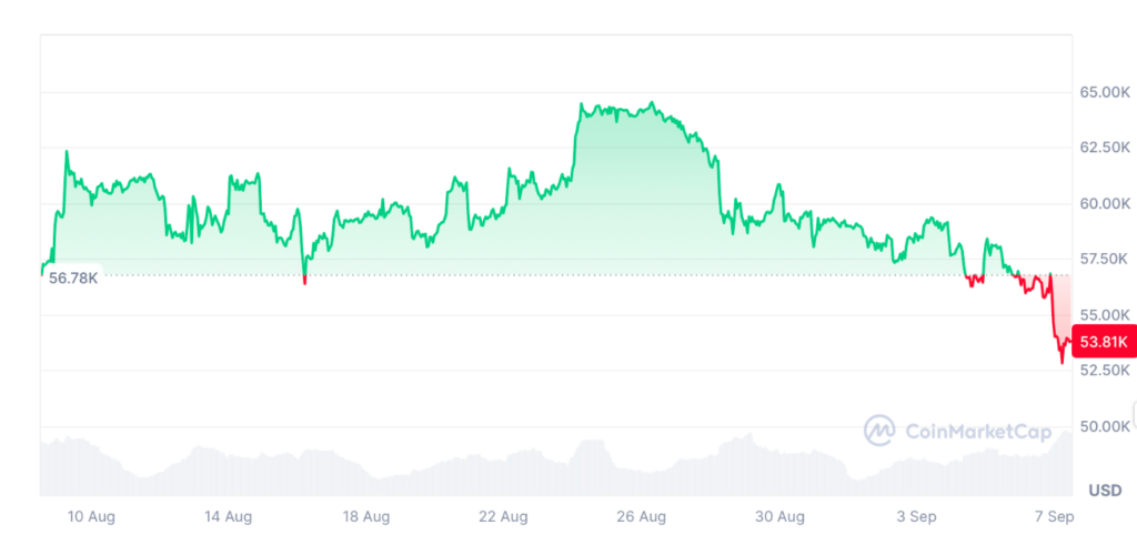 قیمت بیت کوین ۱۷ شهریور ۱۴۰۳