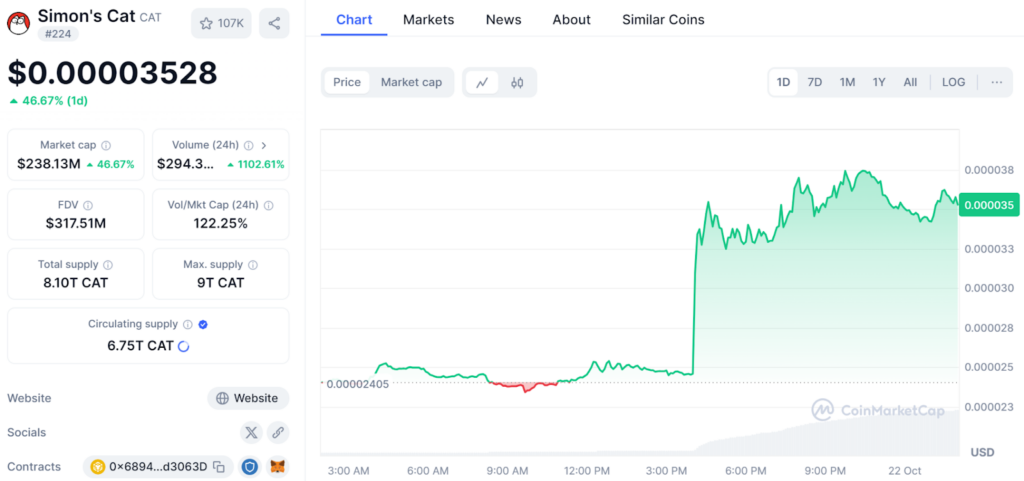 میم کوین سیمونز کت (CAT)
